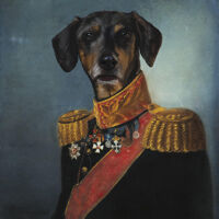 Dr. President Admiral Roar Dreezy's picture
