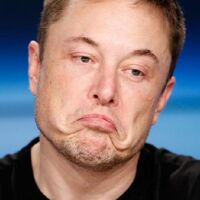 Elon Musk's profile picture