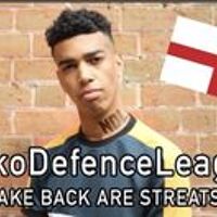 Niko Defense League's profile picture