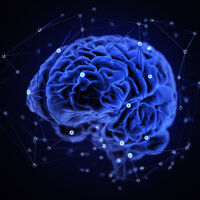 Brain Pod AI's picture