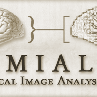 Medical Image Analysis Lab, SFU's profile picture