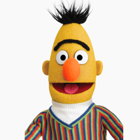BERT community's profile picture