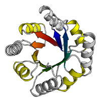 Protein Design Lab's profile picture