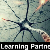 Deep Learning Partnership's profile picture