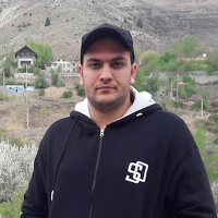 Seyed Ali Mir Mohammad Hoseini's profile picture